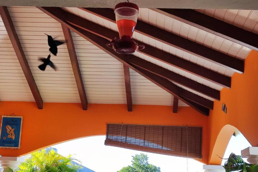 Villa Anolis, Sainte Luce, Piscine, Vue Mer, 4* Kültér fotó